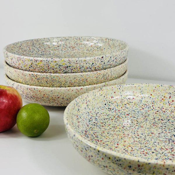 Shallow Dish (Set of 4) - Confetti